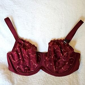 NWT Etam Bra 40F Burgundy